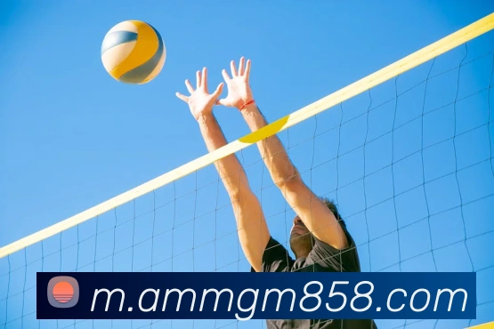 美高梅mgm服务体系